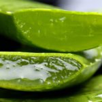 Aloe Vera, die Heilpflanze auf blogtante.de