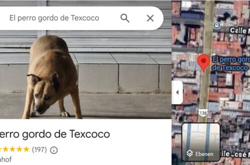 El Perro Gordo de Texcoco: Der dicke Straßenhund, der zur Touristen-Ikone wurde auf blogtante.de